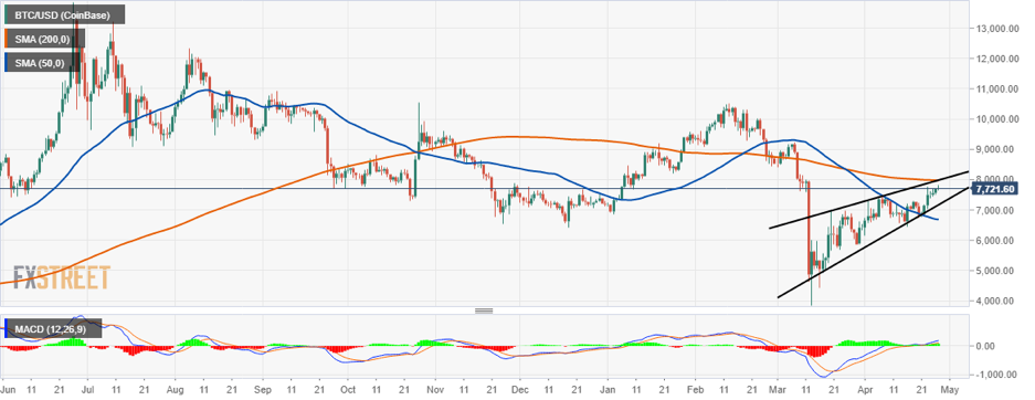 Grafik Harian BTC USD